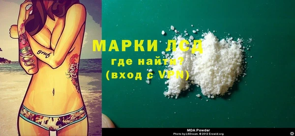 спайс Гусев