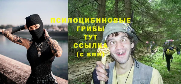 спайс Гусев