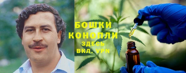 прущая мука Гусиноозёрск