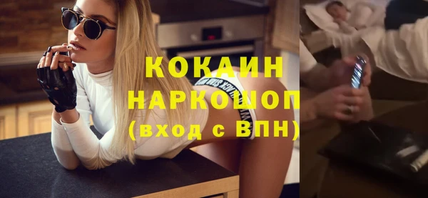 спайс Гусев