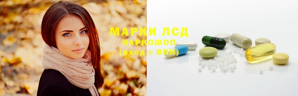спайс Гусев
