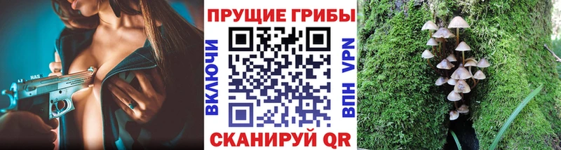 Галлюциногенные грибы мицелий  Котельнич 